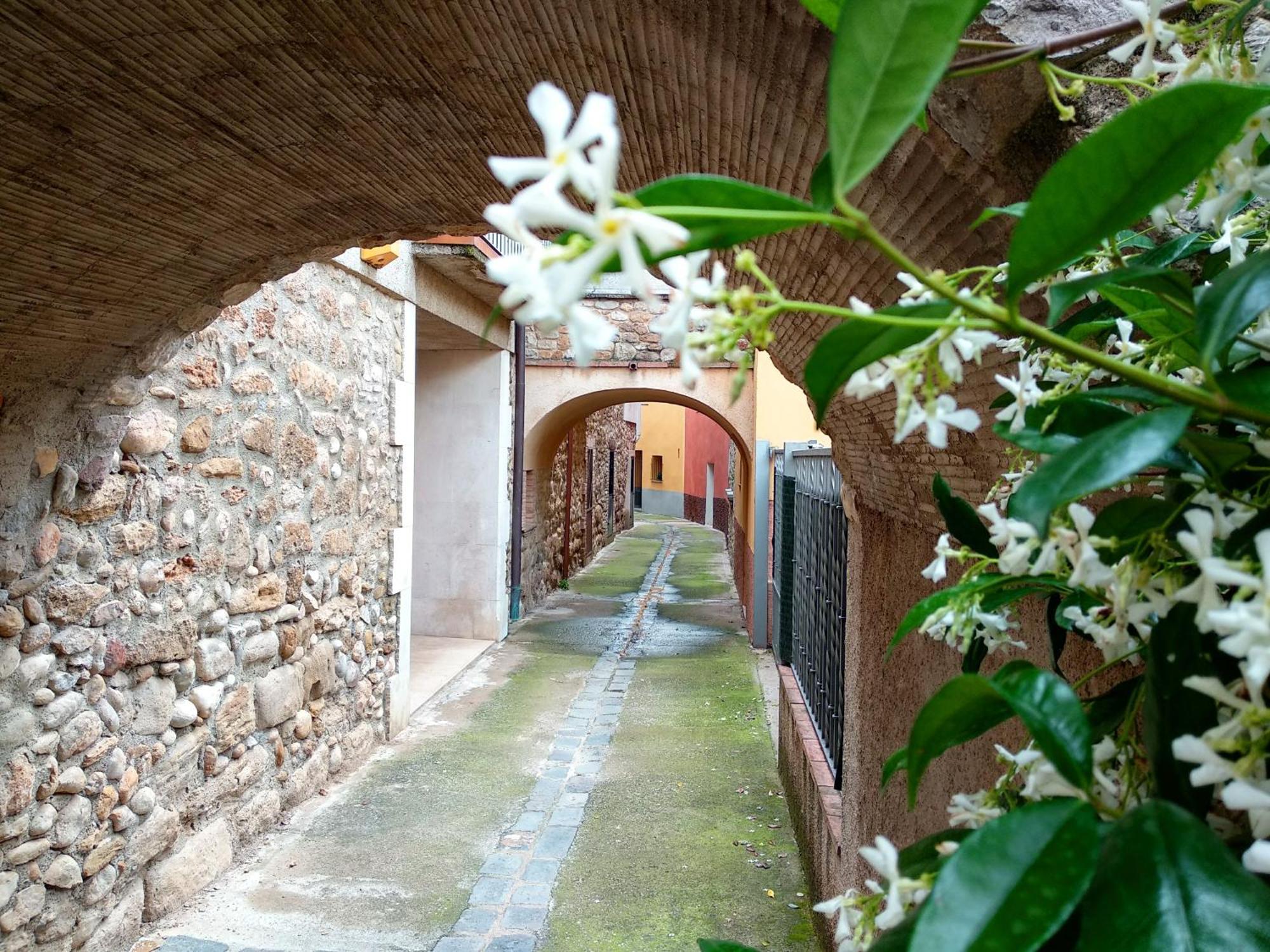 Can Girmas Casa De Turisme Rural נוואטה מראה חיצוני תמונה